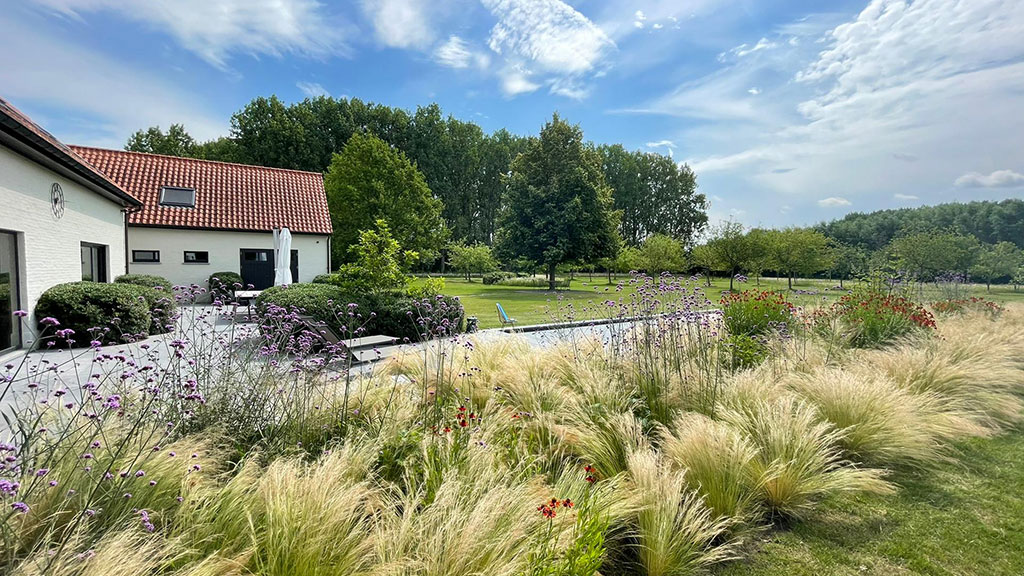 Tuinontwerp - KM Tuinarchitect